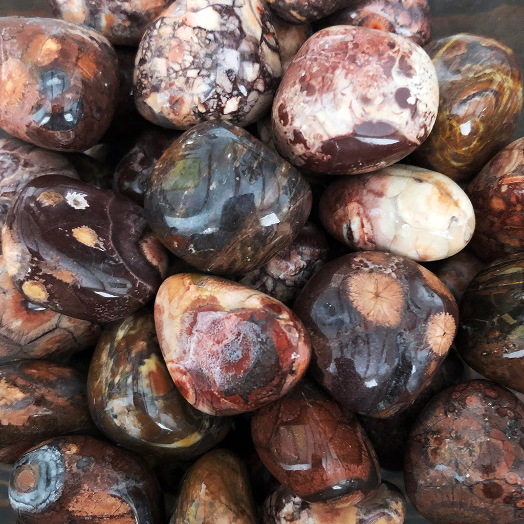 Bird's Eye Rhyolite Tumbled Stones for Self Realization – Zinzeudo ...